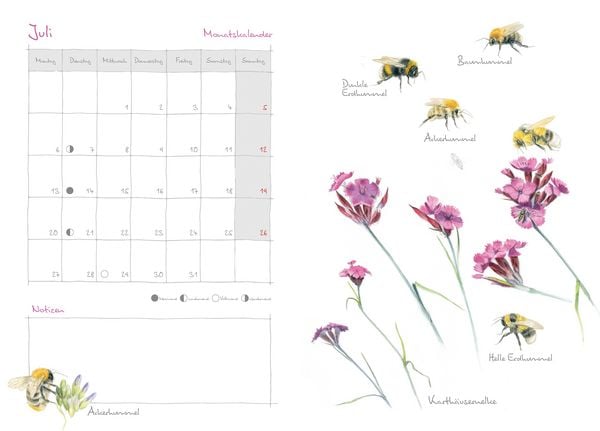 Produktbild: Mein Naturkalender 2026