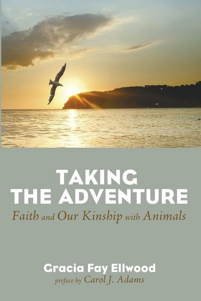Produktbild: Taking the Adventure
