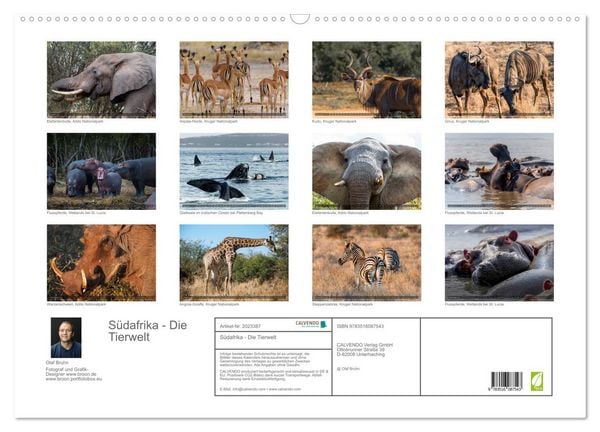 Produktbild: S&uuml;dafrika - Die Tierwelt (Wandkalender 2026 DIN A2 quer), CALVENDO Monatskalender