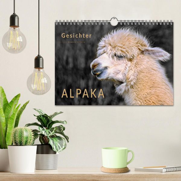 Produktbild: Alpaka Gesichter (Wandkalender 2026 DIN A4 quer), CALVENDO Monatskalender