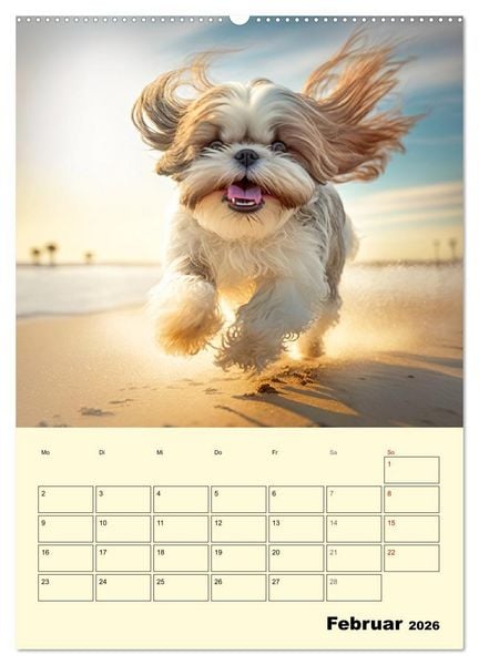 Produktbild: Shih Tzu Alarm. Gl&uuml;ckliche Wuschelk&ouml;pfe (Wandkalender 2026 DIN A2 hoch), CALVENDO Monatskalender