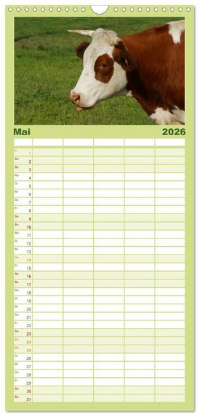 Produktbild: Familienplaner 2026 - Die Welt der K&uuml;he mit 5 Spalten (Wandkalender, 21 x 45 cm) CALVENDO