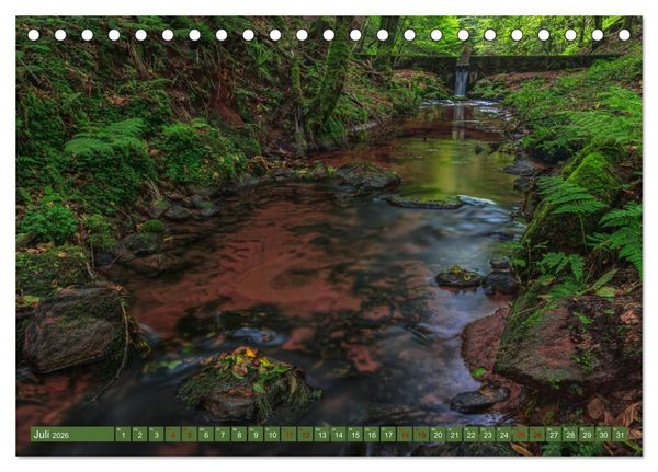 Produktbild: Augenschmaus Pf&auml;lzer Wald (Tischkalender 2026 DIN A5 quer), CALVENDO Monatskalender