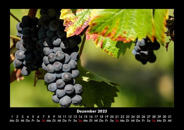 Produktbild: Fr&uuml;chte 2025 Fotokalender DIN A3