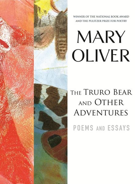 Produktbild: The Truro Bear and Other Adventures