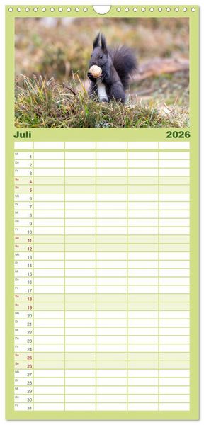 Produktbild: Familienplaner 2026 - Eichh&ouml;rnchenliebe mit 5 Spalten (Wandkalender, 21 x 45 cm) CALVENDO