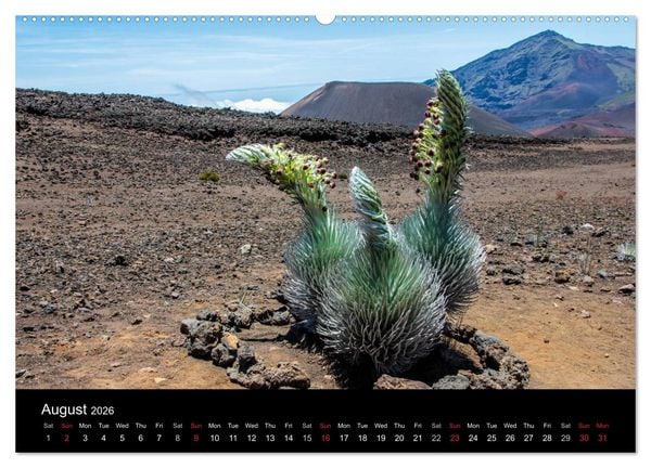 Produktbild: Paradise on Earth HAWAII (High Quality Premium Wall Calendar 2026 DIN A2 landscape),CALVENDO 12 Month Wall Calendar