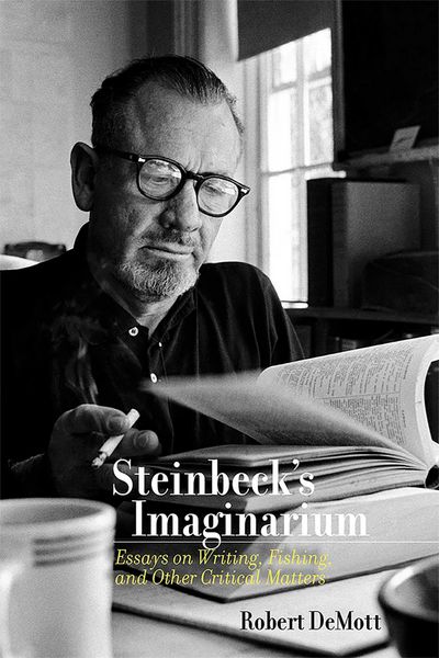 Produktbild: Steinbeck's Imaginarium