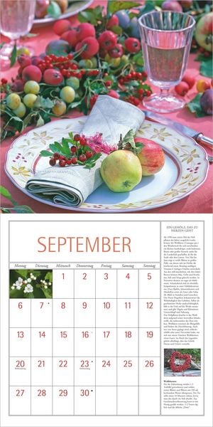 Produktbild: DuMonts Kr&auml;uter Kalender 2027