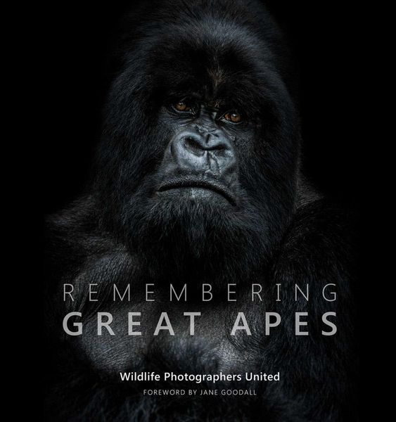 Remembering Great Apes, Gebundene Ausgabe von , Remembering Wildlife, 9781999643300