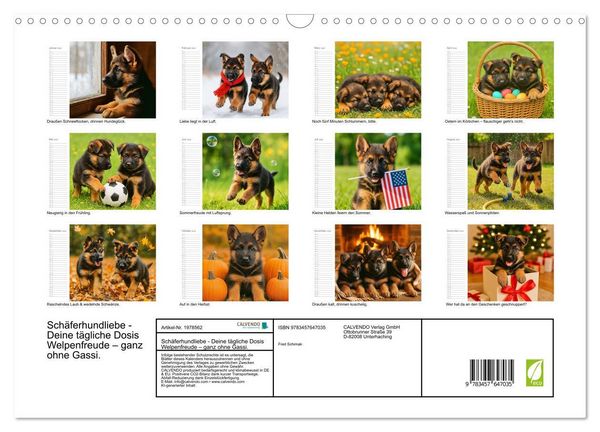 Produktbild: Sch&auml;ferhundliebe - Deine t&auml;gliche Dosis Welpenfreude &ndash; ganz ohne Gassi. (Wandkalender 2026 DIN A3 quer), CALVENDO Monatskalender
