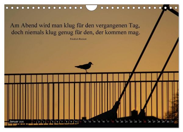 Produktbild: Weisheiten, Zitate und Spr&uuml;che - Ein Jahr voller Gedanken 2026 (Wandkalender 2026 DIN A4 quer), CALVENDO Monatskalender