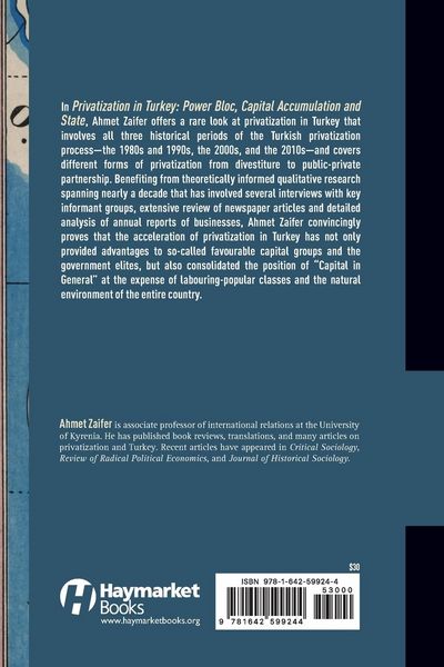 Produktbild: Privatization in Turkey