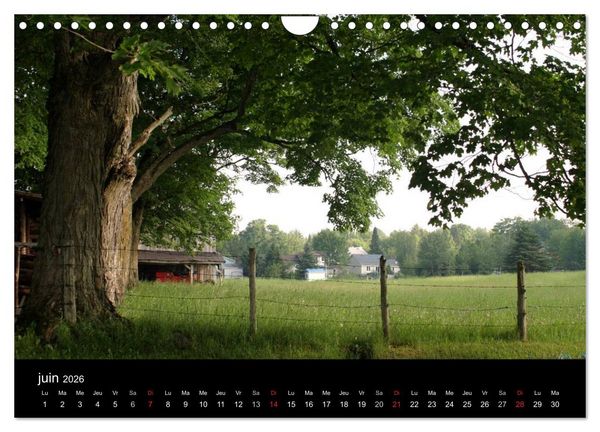 Produktbild: Regard sur les saisons du Qu&eacute;bec (Calendrier mural 2026 DIN A4 vertical), CALVENDO calendrier mensuel