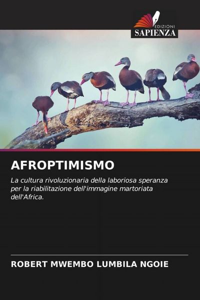 Produktbild: Afroptimismo