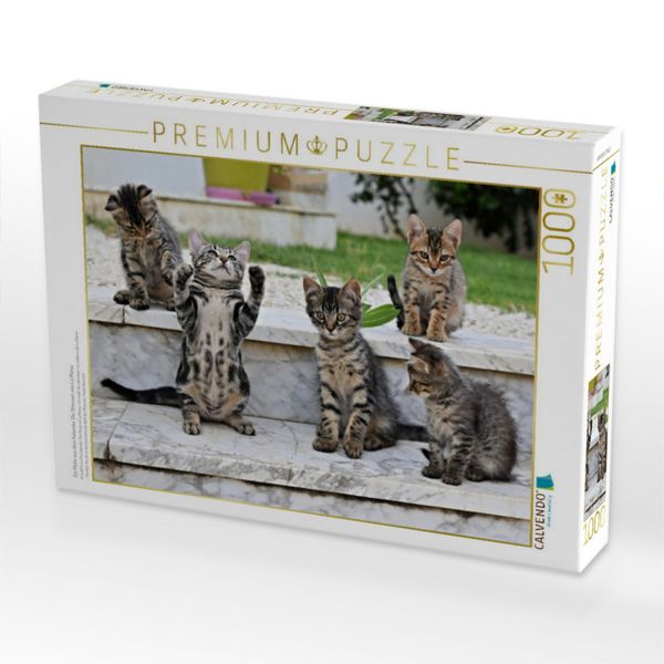 Produktbild: CALVENDO Puzzle Ein Motiv aus dem Kalender Die Streuner von La Marsa | 1000 Teile Lege-Gr&ouml;&szlig;e 64x48cm Foto-Puzzle f&uuml;r gl&uuml;ckliche Stunden