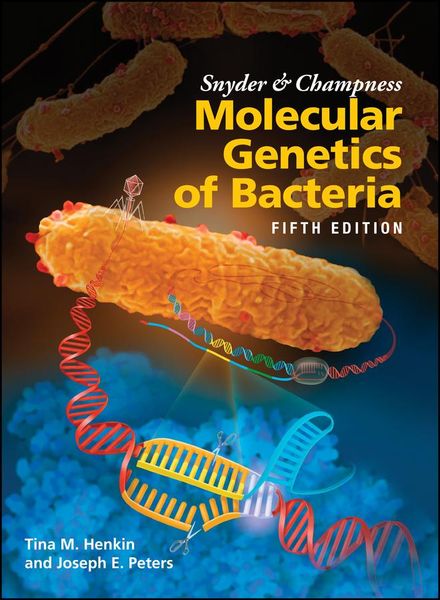 Produktbild: Snyder and Champness Molecular Genetics of Bacteria