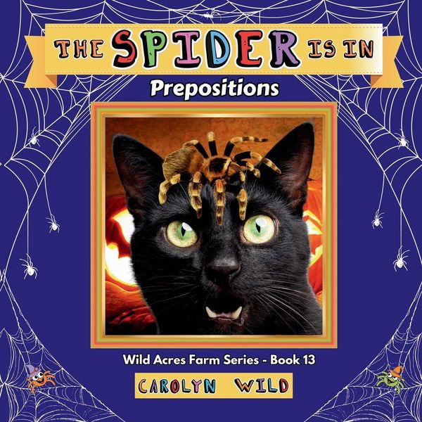 Produktbild: The Spider Is In