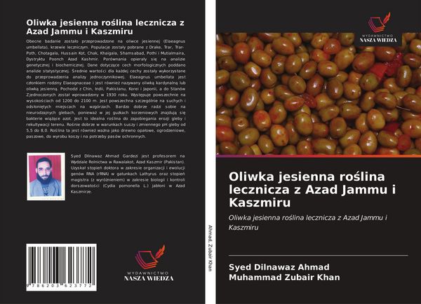 Produktbild: Oliwka jesienna ro&iquest;lina lecznicza z Azad Jammu i Kaszmiru