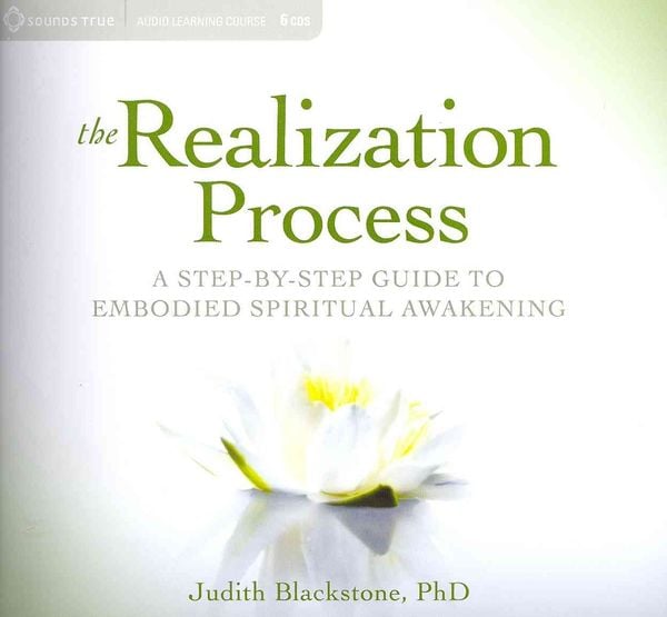 Produktbild: The Realization Process: A Step-By-Step Guide to Embodied Spiritual Awakening