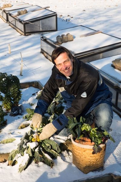Produktbild: Frisches Gem&uuml;se im Winter ernten