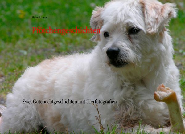 Produktbild: Pf&ouml;tchengeschichten