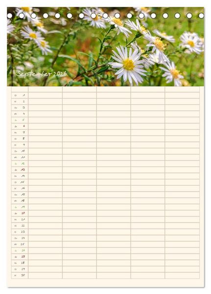 Produktbild: Mit Blick in den Garten (Tischkalender 2026 DIN A5 hoch), CALVENDO Monatskalender
