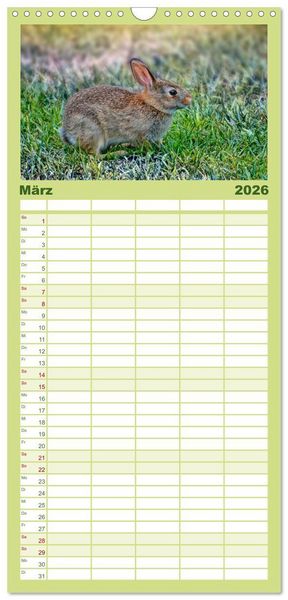 Produktbild: Familienplaner 2026 - Feldhasen und Kaninchen mit 5 Spalten (Wandkalender, 21 x 45 cm) CALVENDO