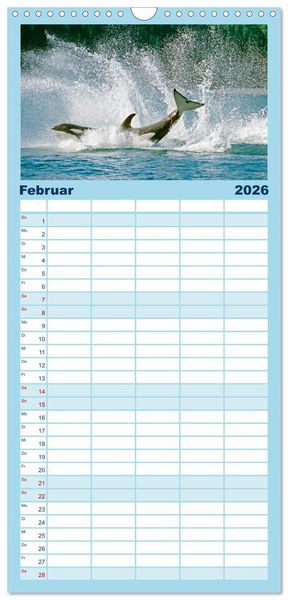 Produktbild: Familienplaner 2026 - Orcas: Schwarz-wei&szlig;e Giganten mit 5 Spalten (Wandkalender, 21 x 45 cm) CALVENDO