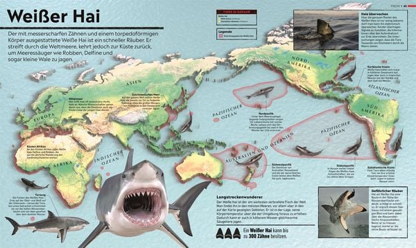 Produktbild: Wo in aller Welt? Tiere. Spektakul&auml;re 3D-Karten