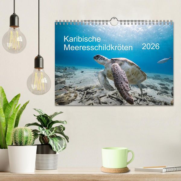 Produktbild: Karibische Meeresschildkr&ouml;ten (Wandkalender 2026 DIN A4 quer), CALVENDO Monatskalender
