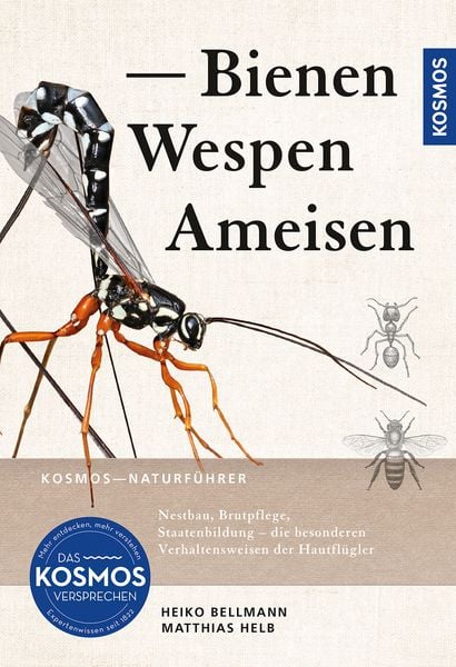 Produktbild: Bienen, Wespen, Ameisen