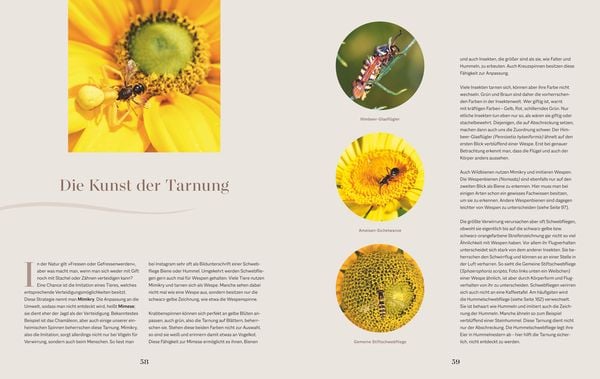 Produktbild: Die Welt in meinem Garten