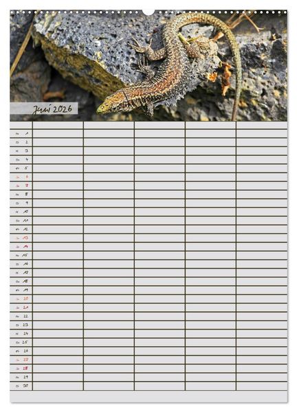 Produktbild: Tierischer Familienplaner (hochwertiger Premium Wandkalender 2026 DIN A2 hoch), Kunstdruck in Hochglanz