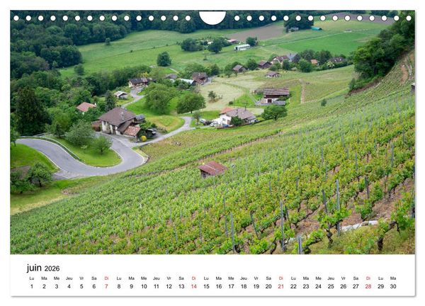 Produktbild: Randonn&eacute;es en Suisse Les Alpes vaudoises (Calendrier mural 2026 DIN A4 vertical), CALVENDO calendrier mensuel