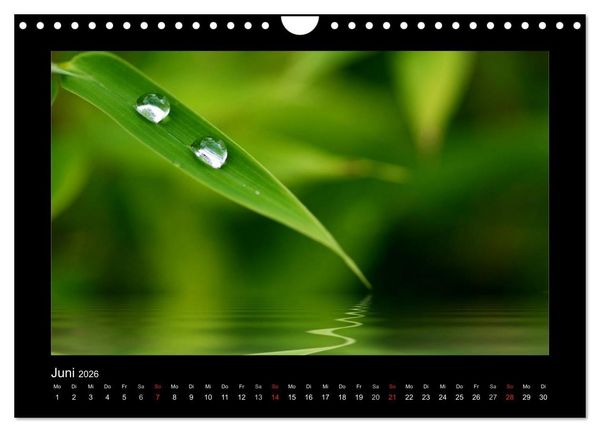 Produktbild: Meine kleine gr&uuml;ne Wassertropfen Welt (Wandkalender 2026 DIN A4 quer), CALVENDO Monatskalender