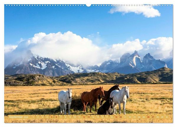 Produktbild: Patagonien - Naturwunder am Ende der Welt (Wandkalender 2026 DIN A2 quer), CALVENDO Monatskalender