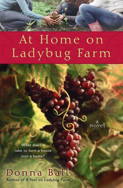 Produktbild: At Home on Ladybug Farm
