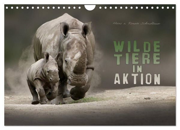 Produktbild: WILDE TIERE IN AKTION (Wandkalender 2026 DIN A4 quer), CALVENDO Monatskalender