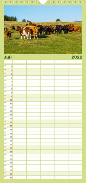 Produktbild: Ein Herz f&uuml;r Rinder - Familienplaner hoch (Wandkalender 2022 , 21 cm x 45 cm, hoch)