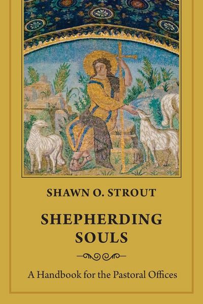 Produktbild: Shepherding Souls