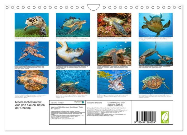 Produktbild: Meeresschildkr&ouml;ten: Aus den blauen Tiefen der Ozeane (Wandkalender 2026 DIN A4 quer), CALVENDO Monatskalender