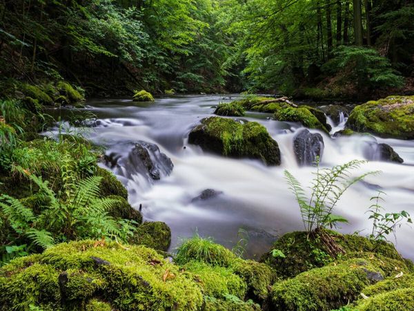 Produktbild: CALVENDO Puzzle Sommer im Bodetal | 1000 Teile Lege-Gr&ouml;&szlig;e 64x48cm Foto-Puzzle f&uuml;r gl&uuml;ckliche Stunden