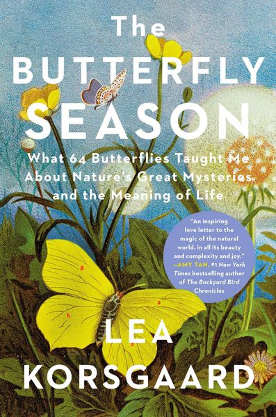 Produktbild: The Butterfly Season
