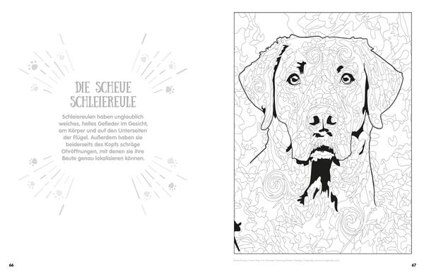 Produktbild: Pop Art Animals - Ausmalbuch