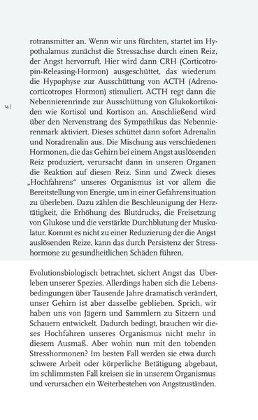 Produktbild: Willkommen Angst