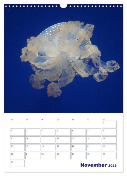 Produktbild: Bunte Meereswelten (Wandkalender 2026 DIN A3 hoch), CALVENDO Monatskalender