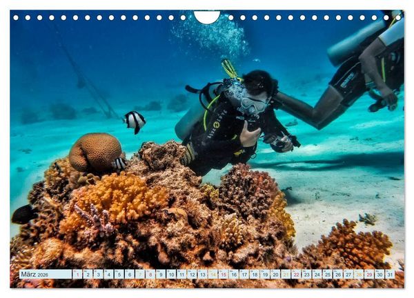 Produktbild: Tauchen - Abenteuer unter Wasser (Wandkalender 2026 DIN A4 quer), CALVENDO Monatskalender
