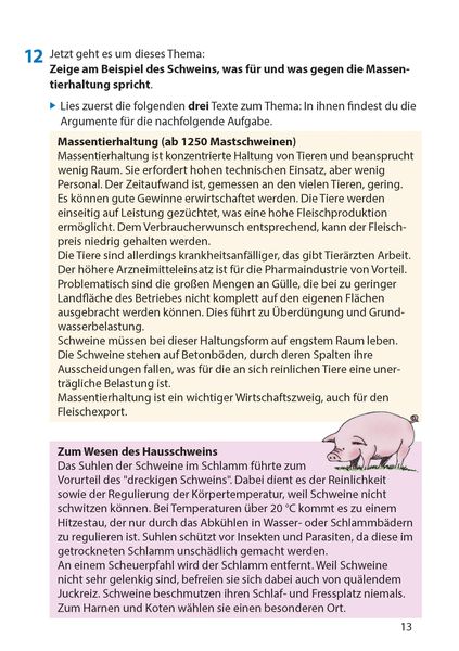 Produktbild: Er&ouml;rterung. Aufsatz 8.-11. Klasse, A5-Heft