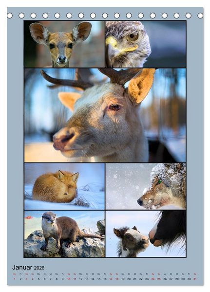 Produktbild: Farbsymphonien der Natur (Tischkalender 2026 DIN A5 hoch), CALVENDO Monatskalender